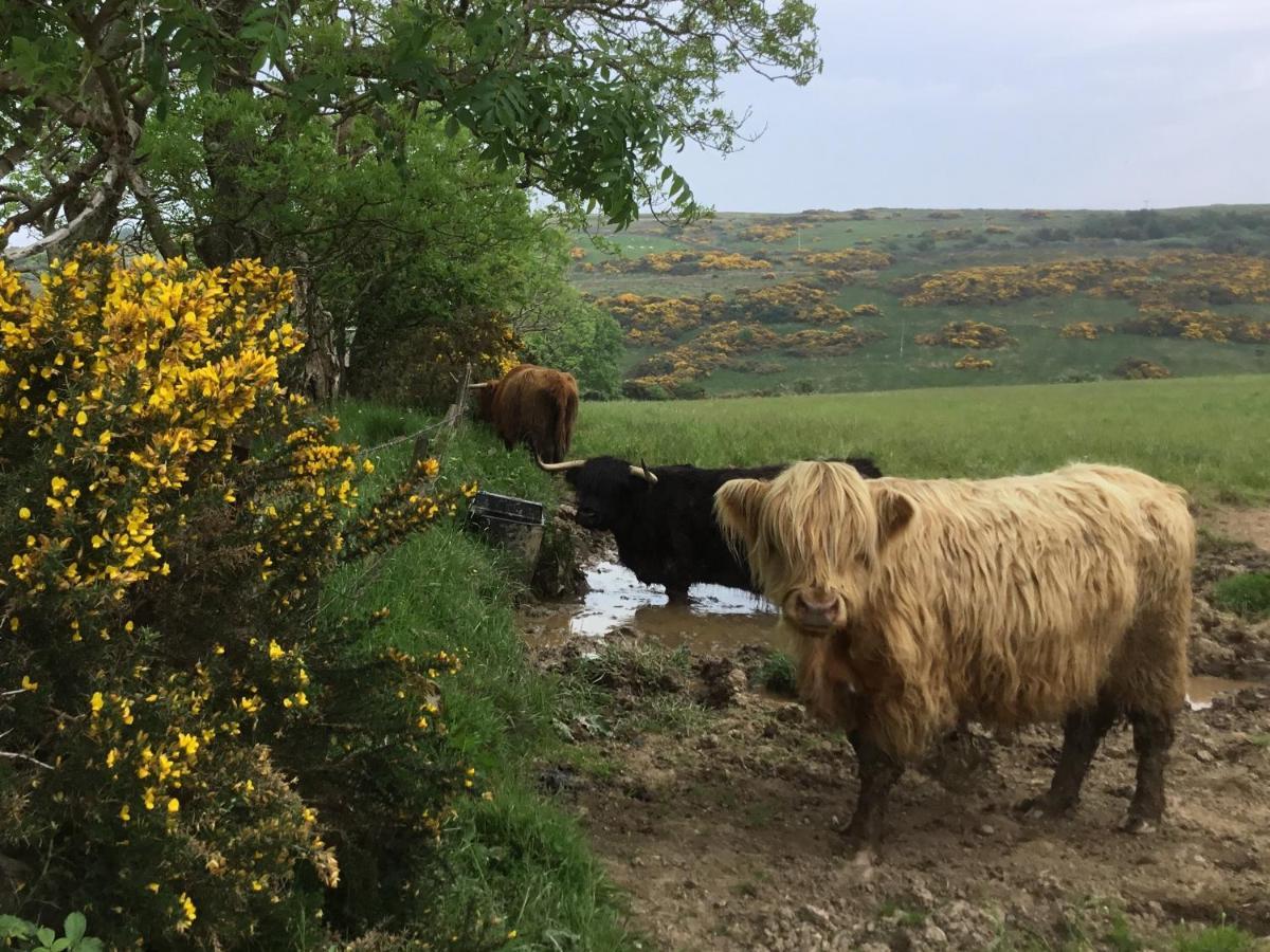Appartamento Chapelhill Hideaway Isle Of Bute Licence Ar00654F Rothesay Esterno foto